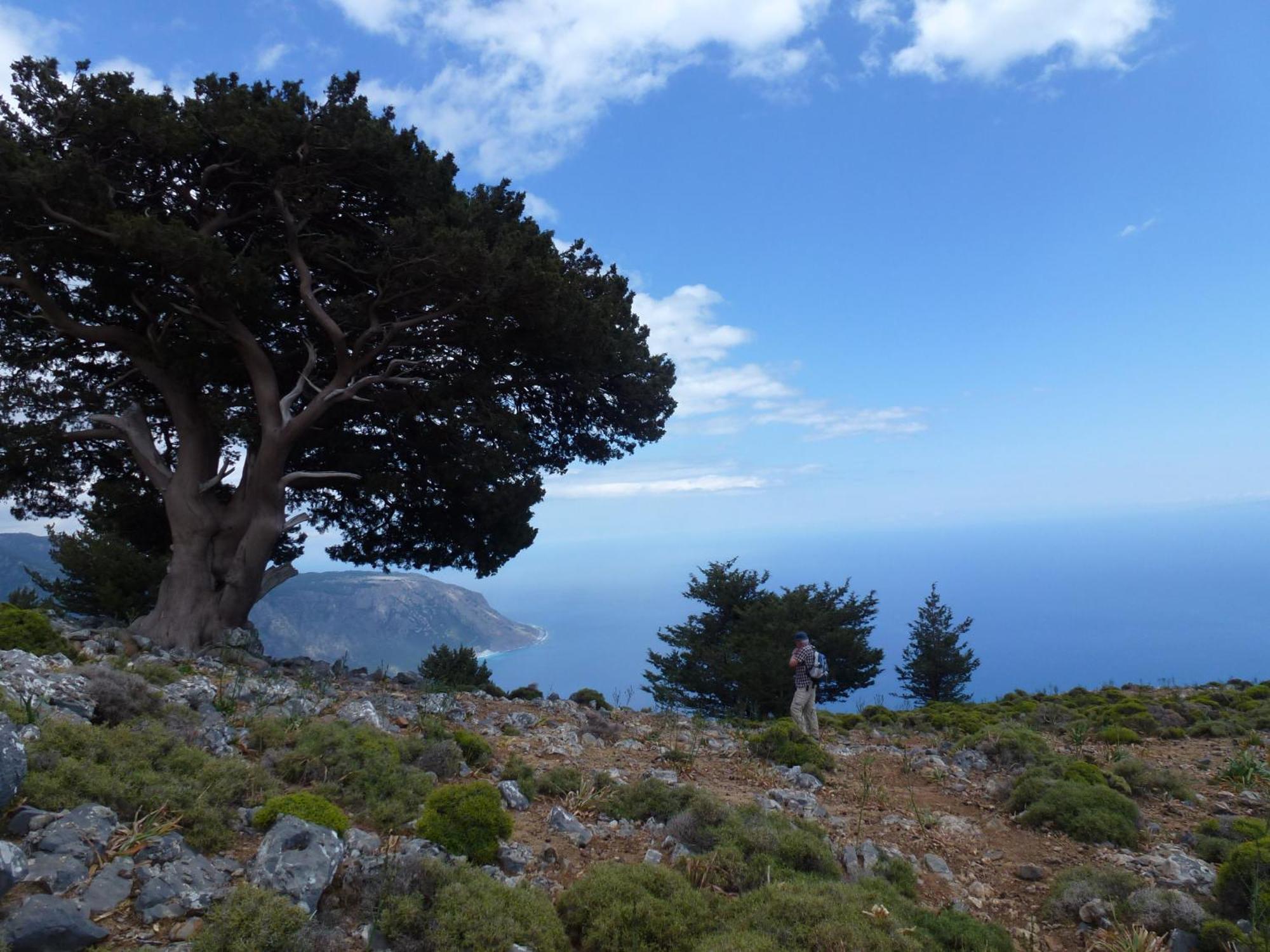 Calypso Διαμέρισμα Αγία Ρουμέλη Εξωτερικό φωτογραφία