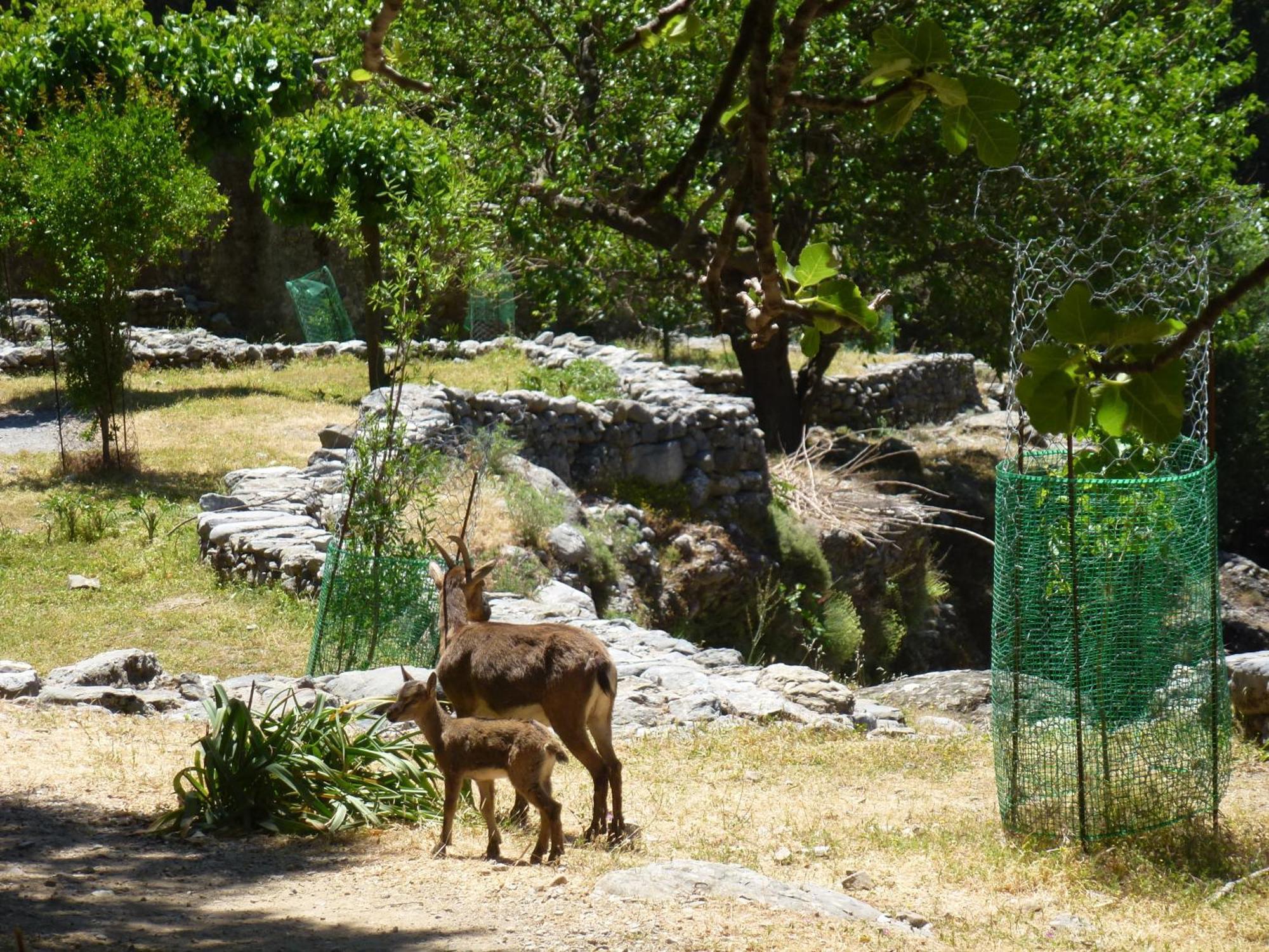 Calypso Διαμέρισμα Αγία Ρουμέλη Εξωτερικό φωτογραφία